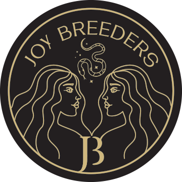 JoyBreeders Logo