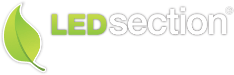 LEDSECTION Logo