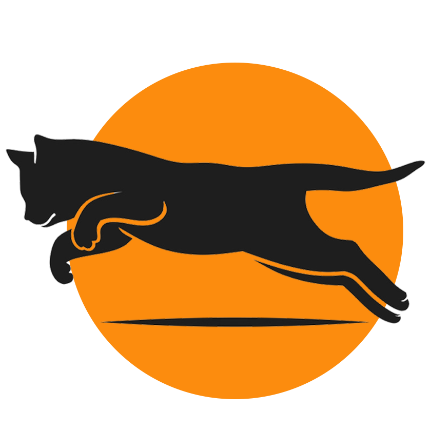 Leaping Cat Creative Logo