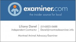 Montreal Animal Advocacy Examiner Logo