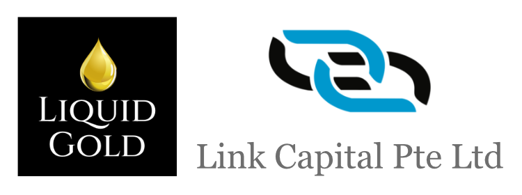 Link Capital Pte Ltd Logo