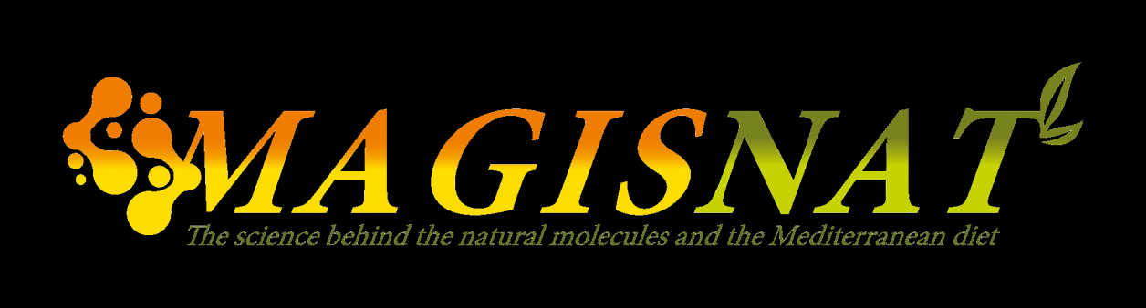 MAGISNAT Logo