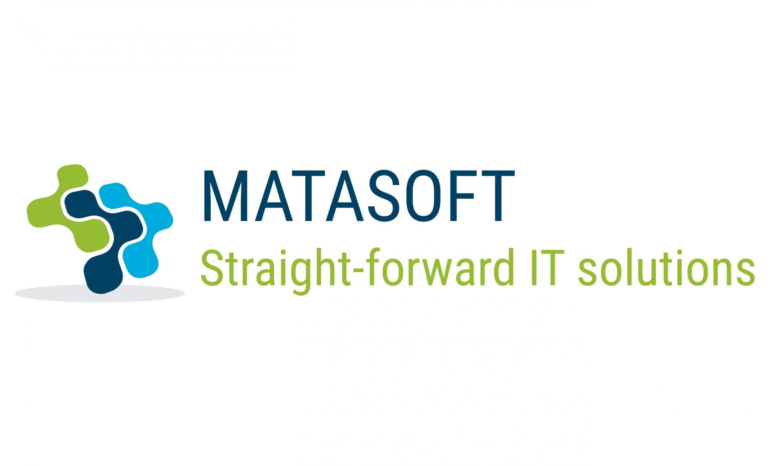 Matasoft Logo