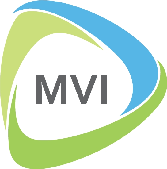 MVI Systems Ltd Logo