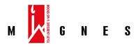 Magnes Logo