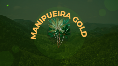 Manipueira Gold Recovery Technology, Inc. Logo