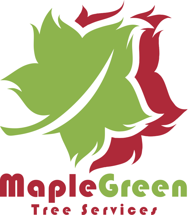 MapleGreen Logo