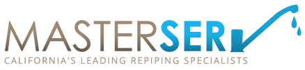 MasterServ Logo