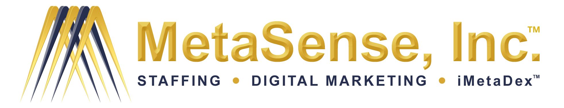 MetaSense Logo