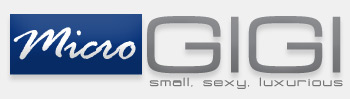 MicroGigi Logo