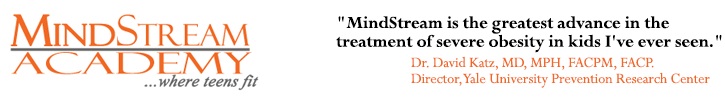 MindStream Academy Logo