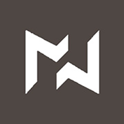 MindWaveStudios Logo