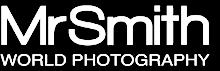 Mr Smith Logo