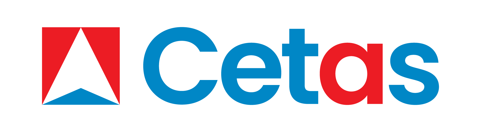 CETAS Information Technology Pvt Ltd Logo