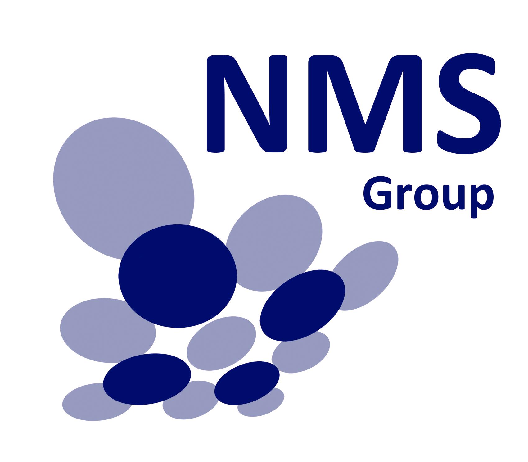 NMS Group S.p.A. Logo