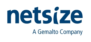 Netsize Logo