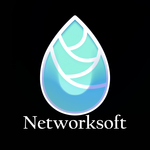 NetworkSoft Inc. Logo