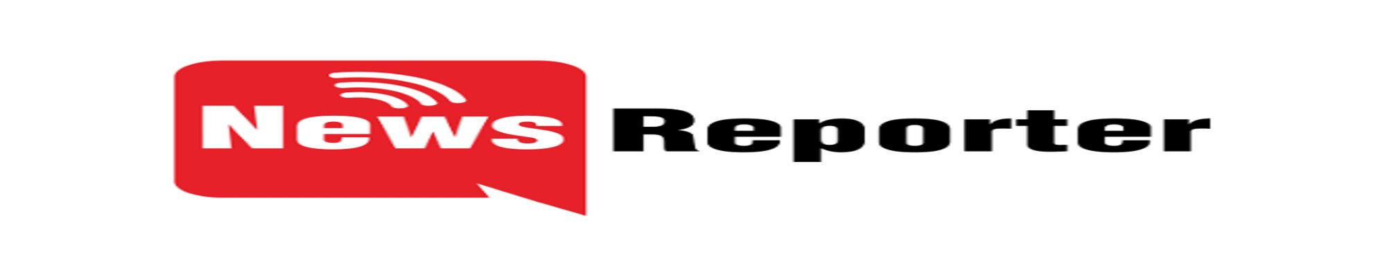 News Reporter Logo