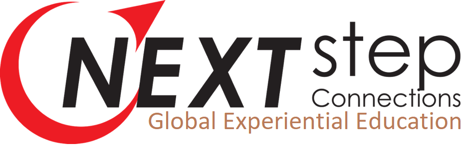 Next Step Connections Logo