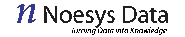 Noesys Data Logo