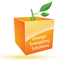 Orange Energizing Solutions Logo