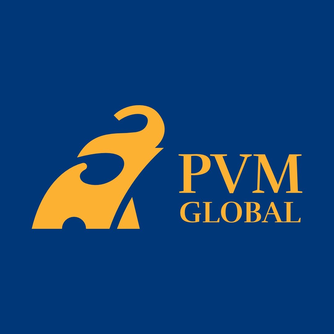 PVMGlobal Logo