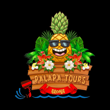 Palapa Tours Logo