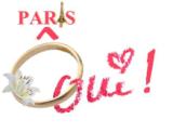 Paris_O_Oui Logo