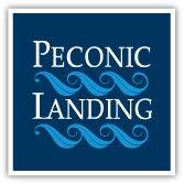 PeconicLanding Logo