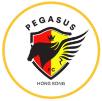 Pegasus Hong Kong Logo