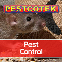 Pescotekuk Logo