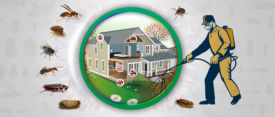 Pest Control services Logo