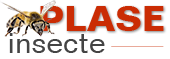 Plase-insecte Logo
