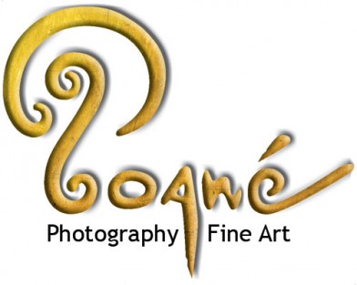 PoaneStudios Logo