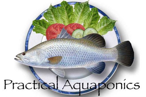 PracticalAquaponics Logo