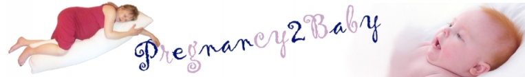 Pregnancy2Baby Logo