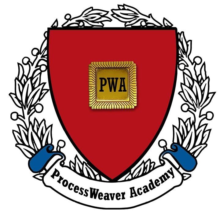 ProcessWeaverAcademy Logo