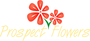 Prospectflowers Logo