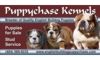 Puppychase Kennels Logo