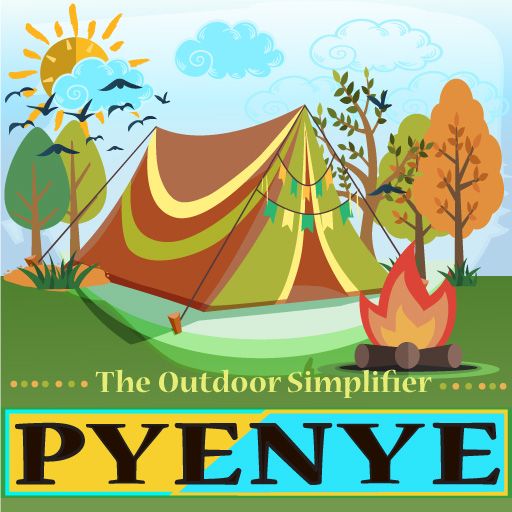 PyeNye Logo