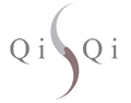 QiSQi Secure Documents and Biometrics Logo