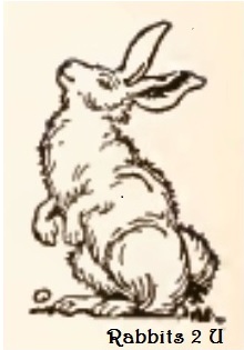 Rabbits 2 U Productions Logo