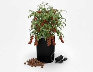 RoundTwo_Hydroponics Logo