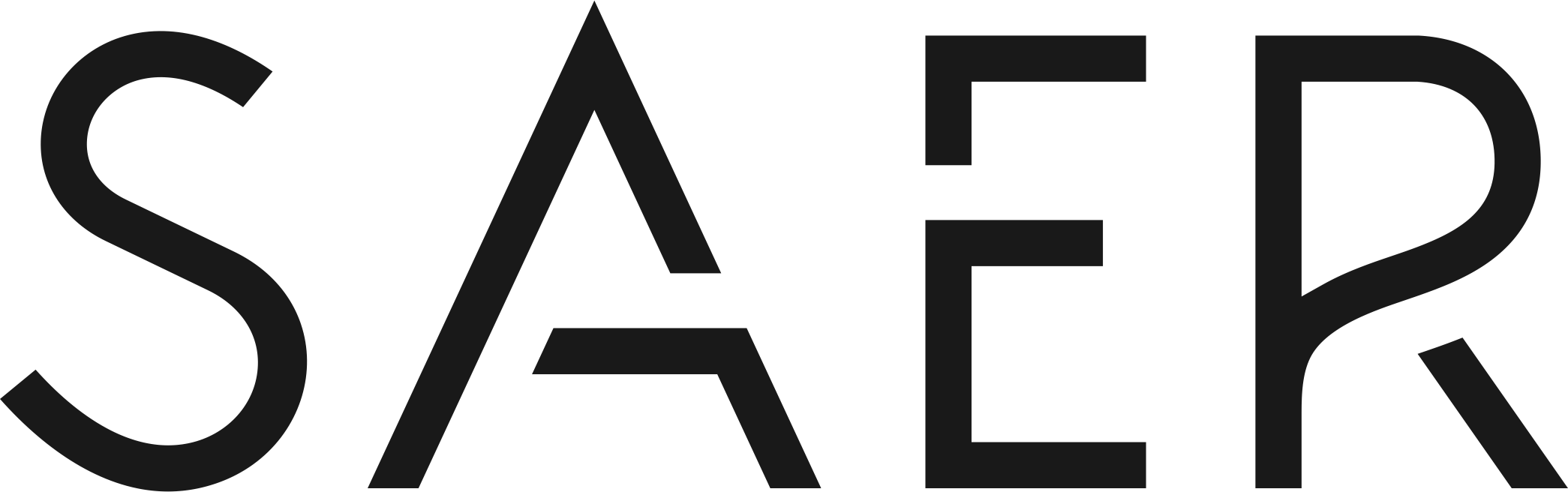 SAER Logo
