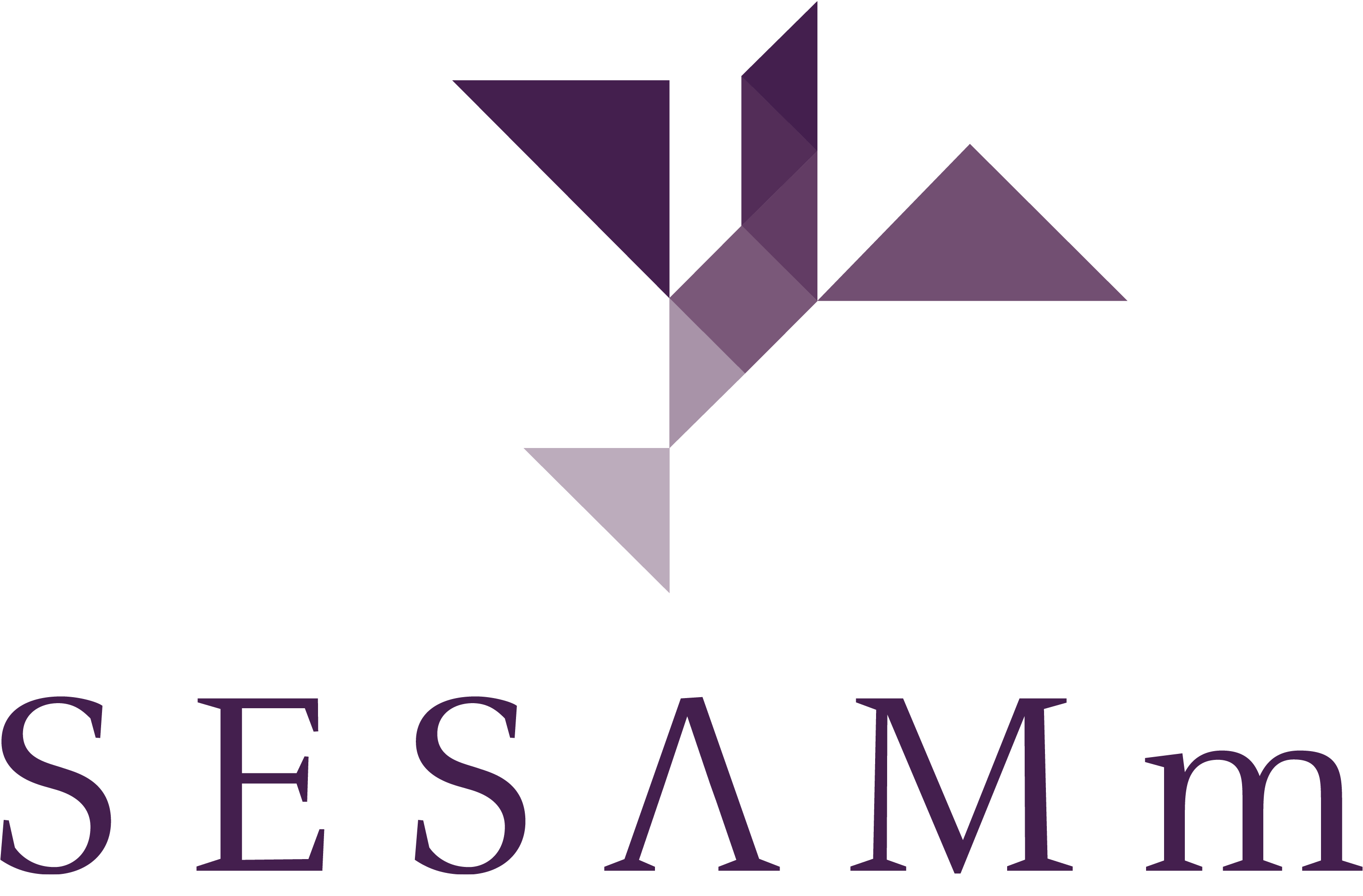 SESAMm-communication Logo