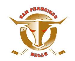 San Francisco Bulls Logo