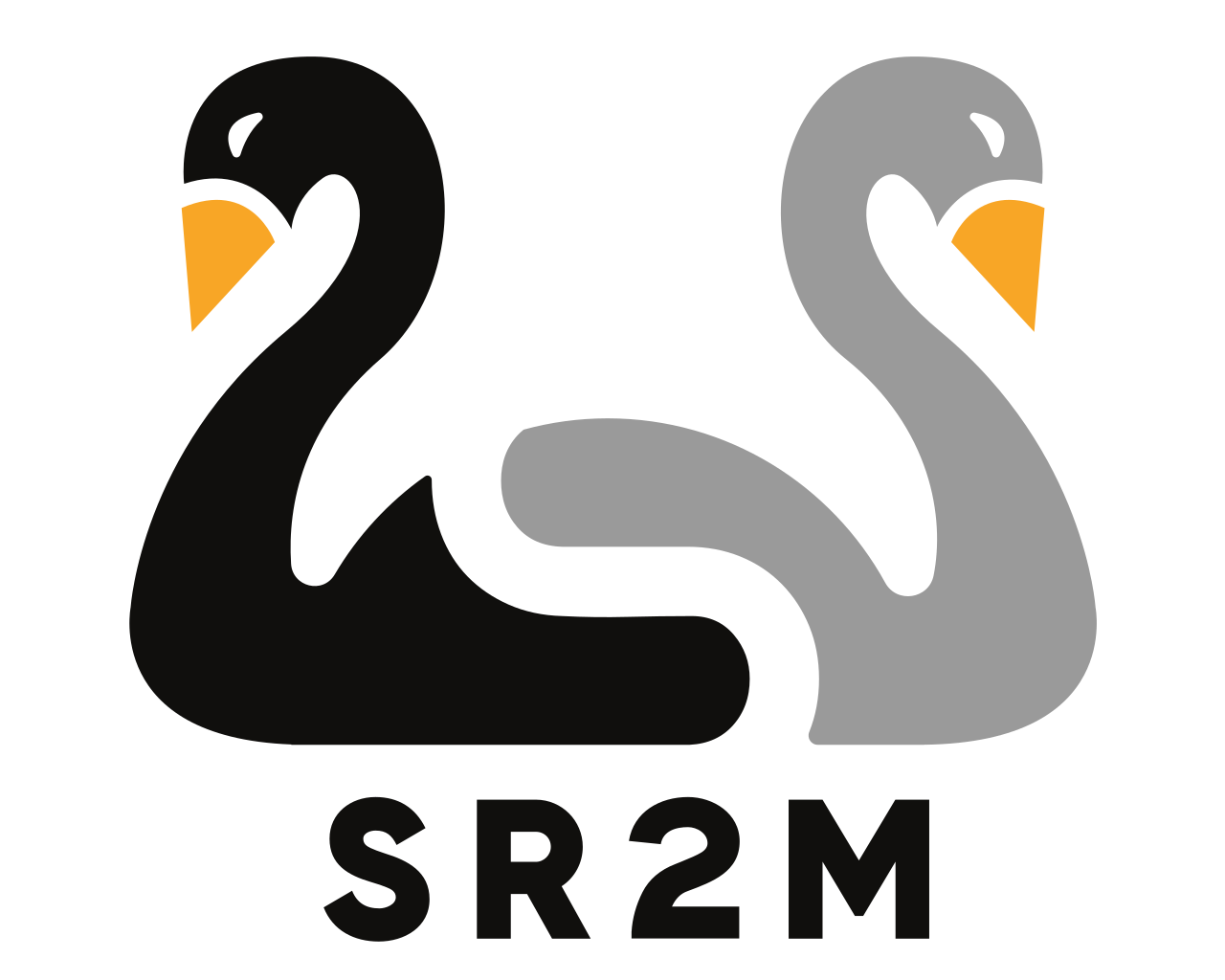 SR2M Logo