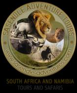 Sasendle Logo