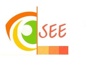 SecretEyesEverywhere Logo
