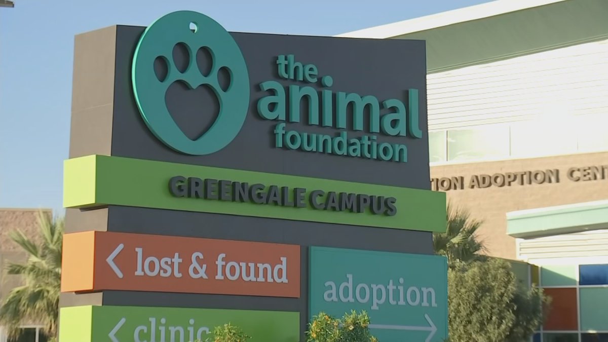 Shut Down The Animal Foundation of Las Vegas Logo